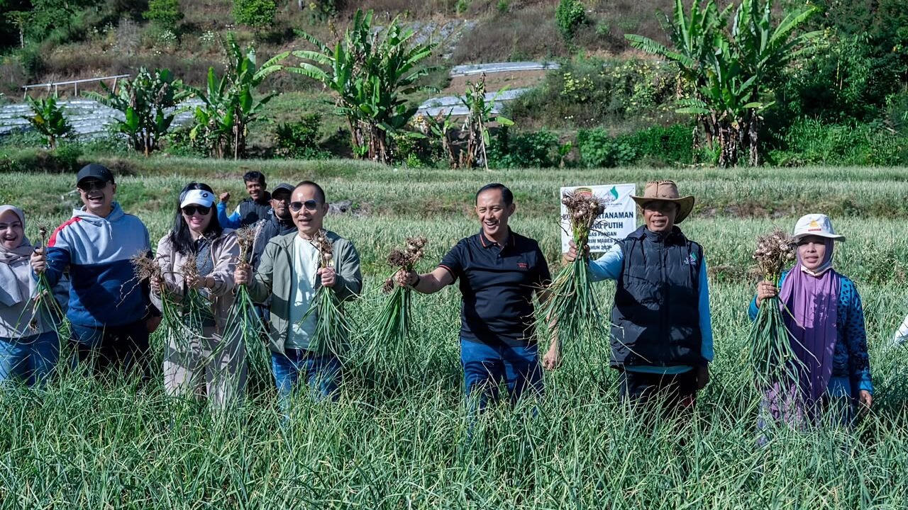 Satgas Pangan Polri Perkuat Swasembada Bawang Putih, Lahan Tanam di Sembalun Capai 534 Hektare