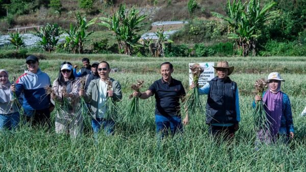 Satgas Pangan Polri Perkuat Swasembada Bawang Putih, Lahan Tanam di Sembalun Capai 534 Hektare